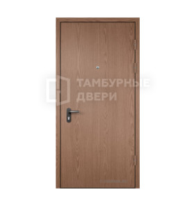 Дверь ламинат дерево на выезд ТД-66