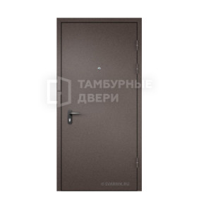 Дверь тамбурная ТД-65